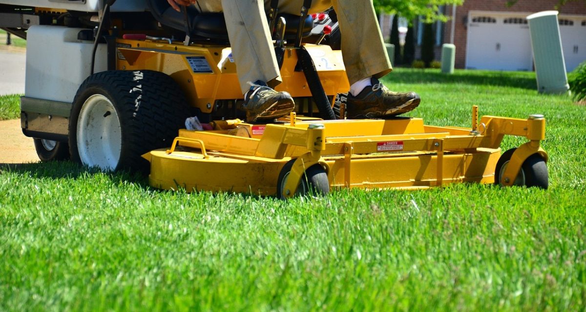 lawn care, lawn maintenance, lawn services-643559.jpg